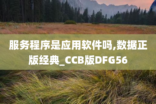 服务程序是应用软件吗,数据正版经典_CCB版DFG56