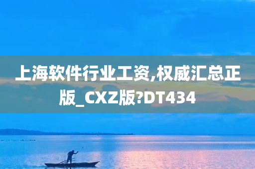 上海软件行业工资,权威汇总正版_CXZ版?DT434