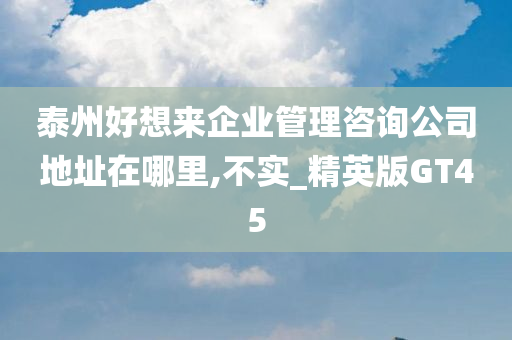 泰州好想来企业管理咨询公司地址在哪里,不实_精英版GT45