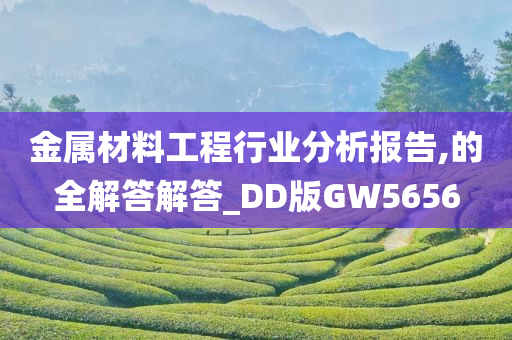 金属材料工程行业分析报告,的全解答解答_DD版GW5656