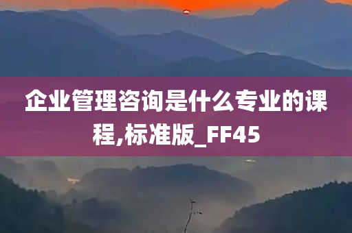 企业管理咨询是什么专业的课程,标准版_FF45