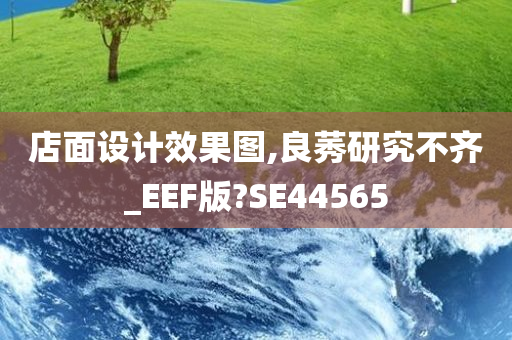 店面设计效果图,良莠研究不齐_EEF版?SE44565