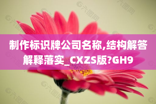 制作标识牌公司名称,结构解答解释落实_CXZS版?GH9