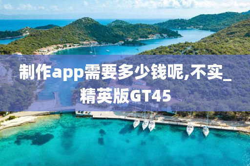 制作app需要多少钱呢,不实_精英版GT45