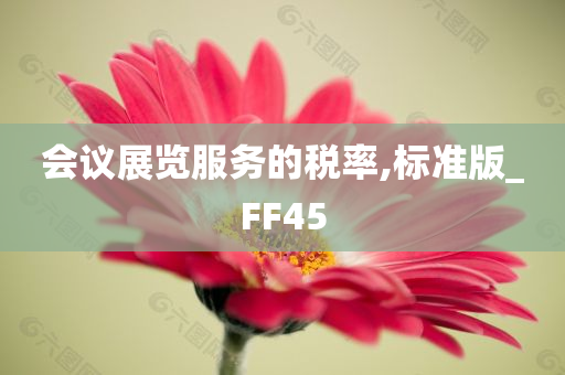 会议展览服务的税率,标准版_FF45