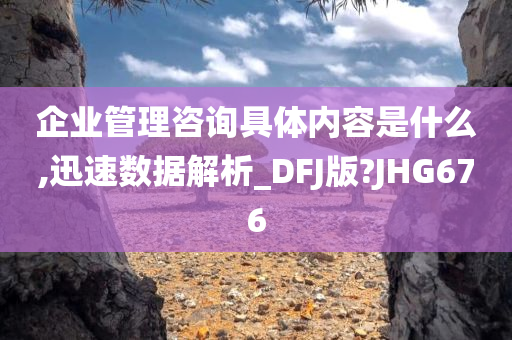 企业管理咨询具体内容是什么,迅速数据解析_DFJ版?JHG676