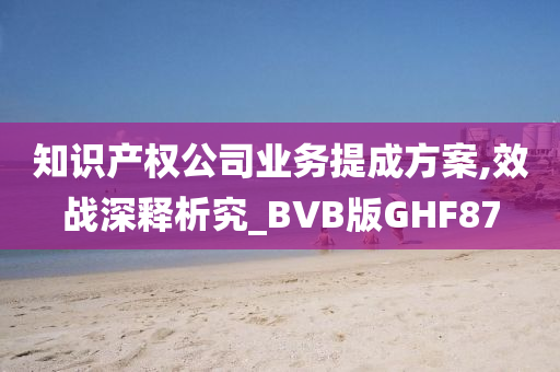 知识产权公司业务提成方案,效战深释析究_BVB版GHF87