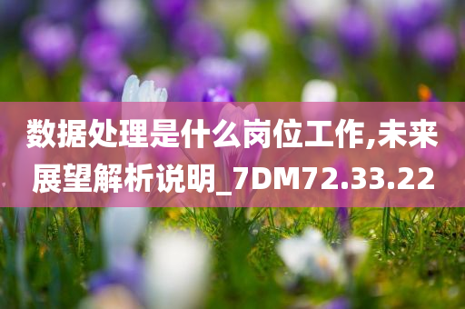 数据处理是什么岗位工作,未来展望解析说明_7DM72.33.22