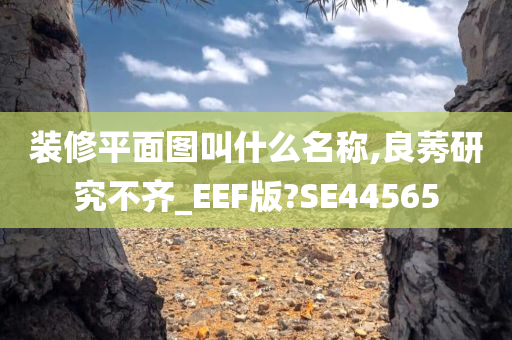 装修平面图叫什么名称,良莠研究不齐_EEF版?SE44565