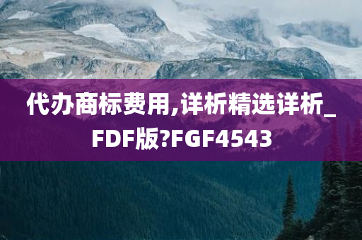 代办商标费用,详析精选详析_FDF版?FGF4543