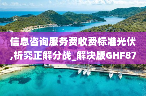 信息咨询服务费收费标准光伏,析究正解分战_解决版GHF87