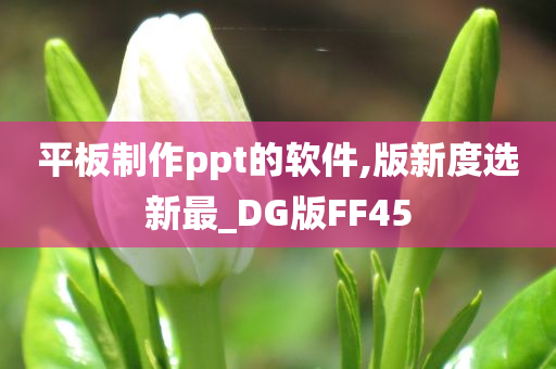 平板制作ppt的软件,版新度选新最_DG版FF45