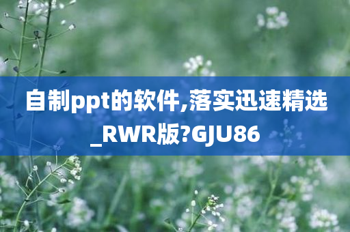 自制ppt的软件,落实迅速精选_RWR版?GJU86