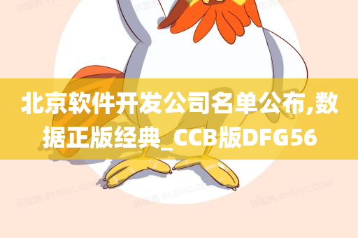 北京软件开发公司名单公布,数据正版经典_CCB版DFG56