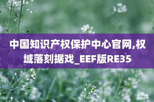 中国知识产权保护中心官网,权域落刻据戏_EEF版RE35