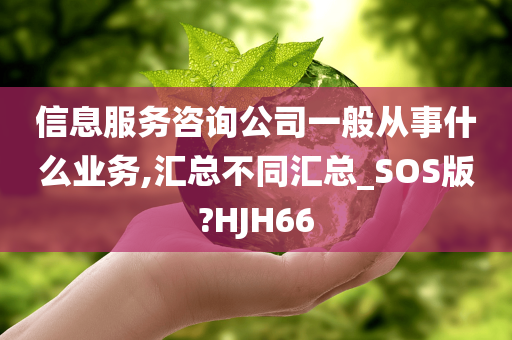 信息服务咨询公司一般从事什么业务,汇总不同汇总_SOS版?HJH66