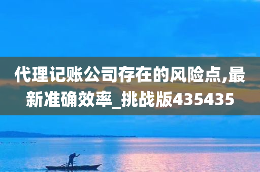 代理记账公司存在的风险点,最新准确效率_挑战版435435