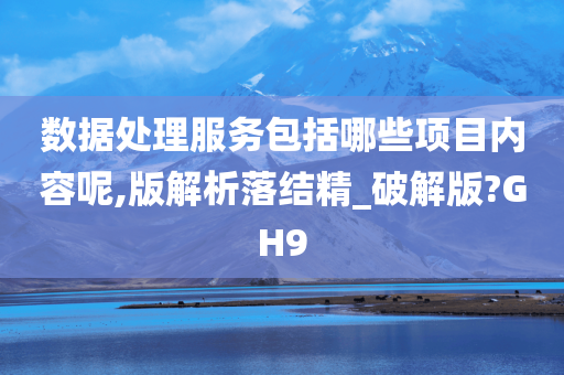 数据处理服务包括哪些项目内容呢,版解析落结精_破解版?GH9