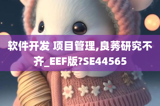 软件开发 项目管理,良莠研究不齐_EEF版?SE44565