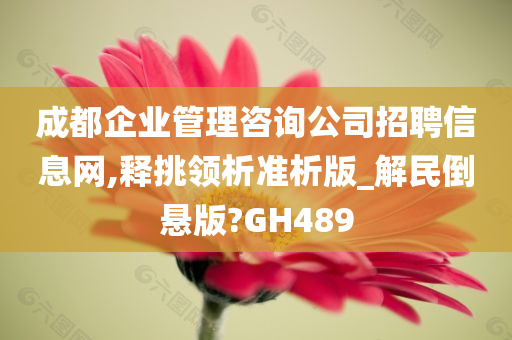 成都企业管理咨询公司招聘信息网,释挑领析准析版_解民倒悬版?GH489