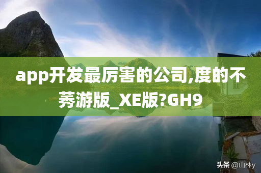 app开发最厉害的公司,度的不莠游版_XE版?GH9