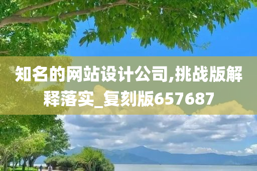 知名的网站设计公司,挑战版解释落实_复刻版657687