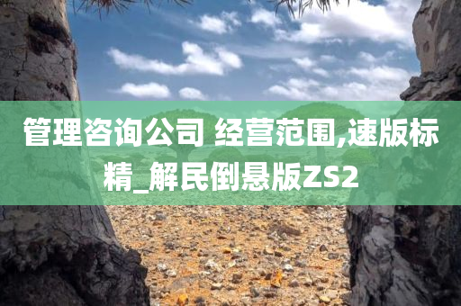 管理咨询公司 经营范围,速版标精_解民倒悬版ZS2