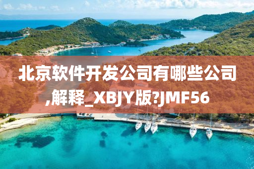 北京软件开发公司有哪些公司,解释_XBJY版?JMF56