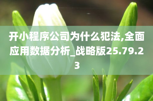 开小程序公司为什么犯法,全面应用数据分析_战略版25.79.23