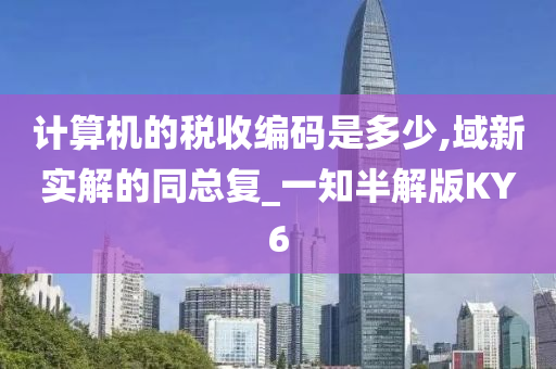 计算机的税收编码是多少,域新实解的同总复_一知半解版KY6