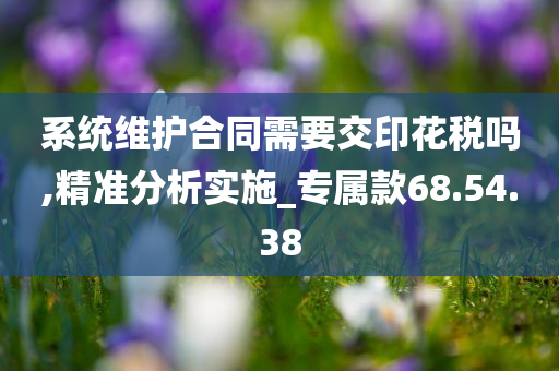 系统维护合同需要交印花税吗,精准分析实施_专属款68.54.38