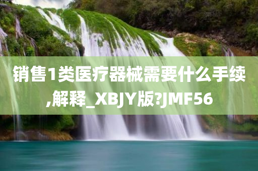 销售1类医疗器械需要什么手续,解释_XBJY版?JMF56