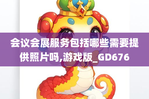 会议会展服务包括哪些需要提供照片吗,游戏版_GD676