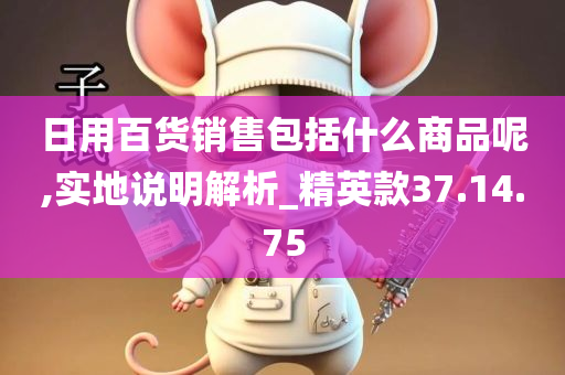 日用百货销售包括什么商品呢,实地说明解析_精英款37.14.75