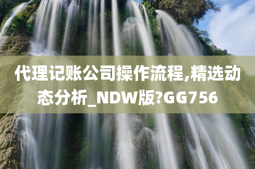 代理记账公司操作流程,精选动态分析_NDW版?GG756