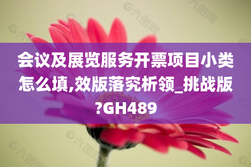 会议及展览服务开票项目小类怎么填,效版落究析领_挑战版?GH489