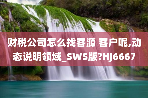 财税公司怎么找客源 客户呢,动态说明领域_SWS版?HJ6667