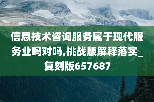 信息技术咨询服务属于现代服务业吗对吗,挑战版解释落实_复刻版657687