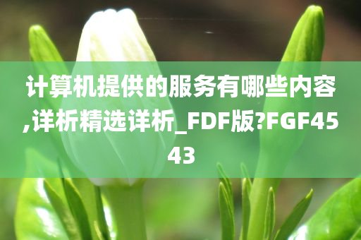 计算机提供的服务有哪些内容,详析精选详析_FDF版?FGF4543