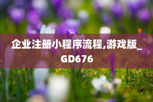 企业注册小程序流程,游戏版_GD676