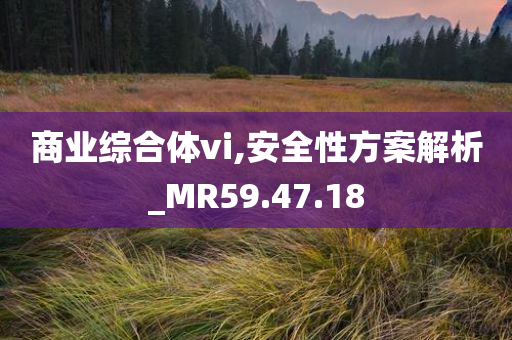 商业综合体vi,安全性方案解析_MR59.47.18