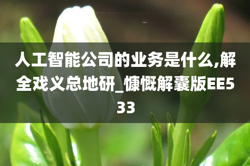 人工智能公司的业务是什么,解全戏义总地研_慷慨解囊版EE533