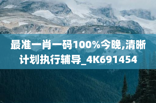 最准一肖一码100%今晚,清晰计划执行辅导_4K691454