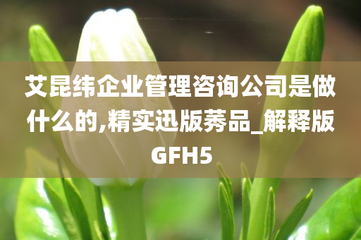 艾昆纬企业管理咨询公司是做什么的,精实迅版莠品_解释版GFH5