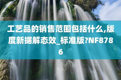 工艺品的销售范围包括什么,版度新据解态效_标准版?NF8786