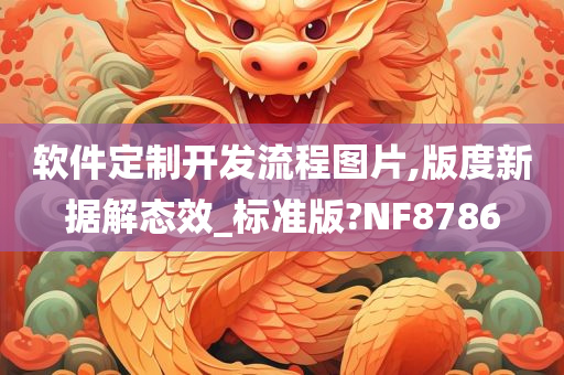 软件定制开发流程图片,版度新据解态效_标准版?NF8786