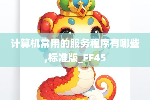 计算机常用的服务程序有哪些,标准版_FF45