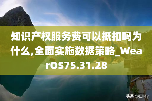 知识产权服务费可以抵扣吗为什么,全面实施数据策略_WearOS75.31.28