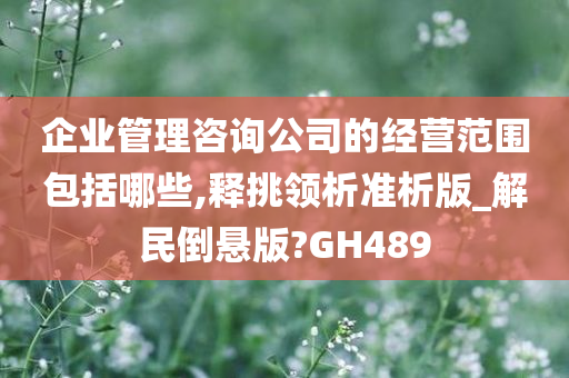 企业管理咨询公司的经营范围包括哪些,释挑领析准析版_解民倒悬版?GH489