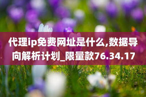 代理ip免费网址是什么,数据导向解析计划_限量款76.34.17